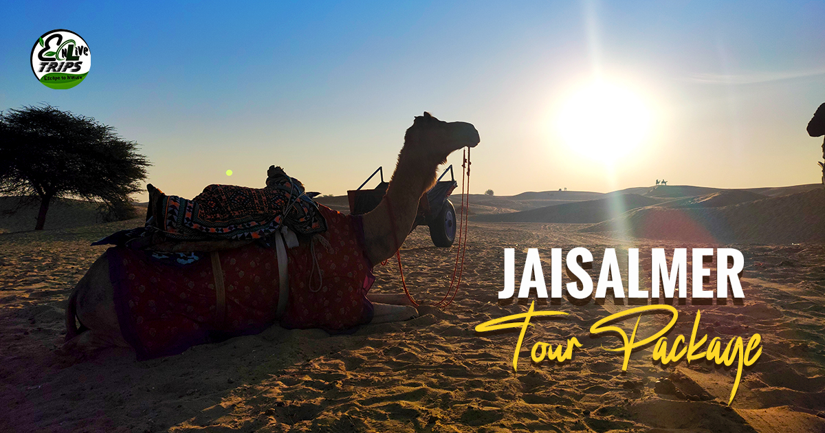 Jaisalmer tour package from Delhi